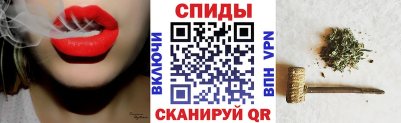 сколько стоит  Каргополь  shop официальный сайт  Бутират BDO  MEGA зеркало 
