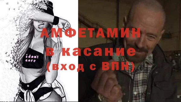 стаф Алзамай