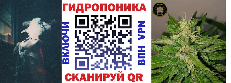 кракен tor  Каргополь  Каннабис ГИДРОПОН 